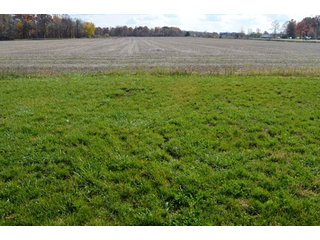 Property photo 39 - 127 Acres Offered in 8 Tracts - Allen & Dekalb County Land